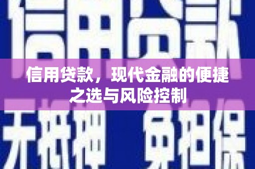 盘龙信用贷款，现代金融的便捷之选与风险控制
