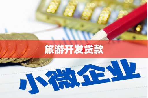 盘龙旅游开发贷款