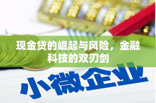 盘龙现金贷的崛起与风险，金融科技的双刃剑