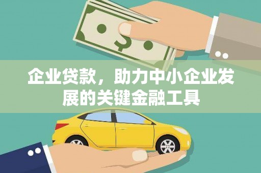 盘龙企业贷款，助力中小企业发展的关键金融工具