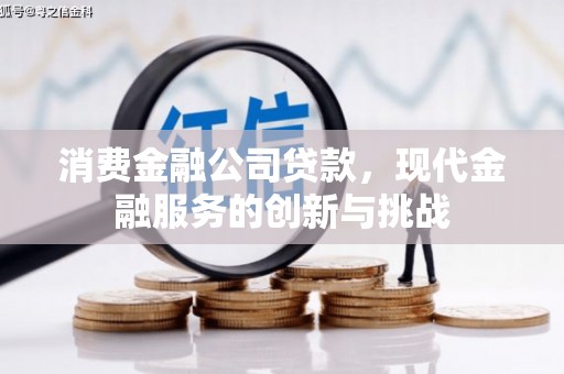 盘龙消费金融公司贷款，现代金融服务的创新与挑战