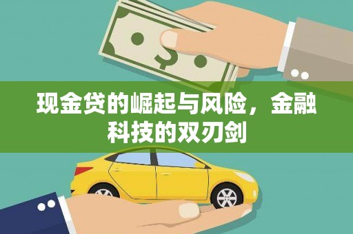 盘龙现金贷的崛起与风险，金融科技的双刃剑