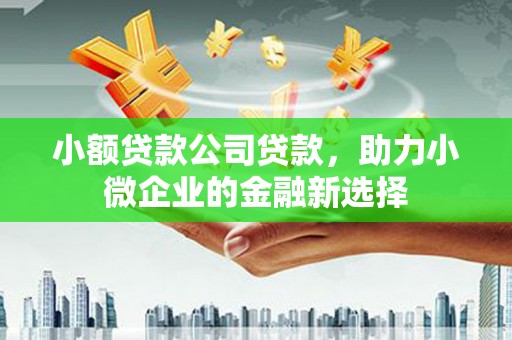 盘龙小额贷款公司贷款，助力小微企业的金融新选择