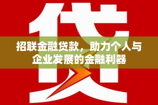 盘龙招联金融贷款，助力个人与企业发展的金融利器