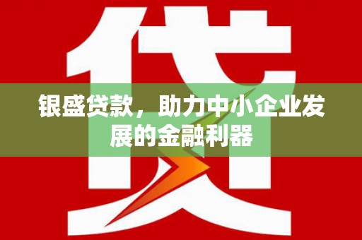 盘龙银盛贷款，助力中小企业发展的金融利器