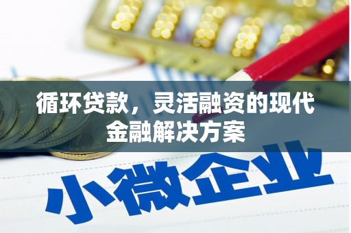 盘龙循环贷款，灵活融资的现代金融解决方案