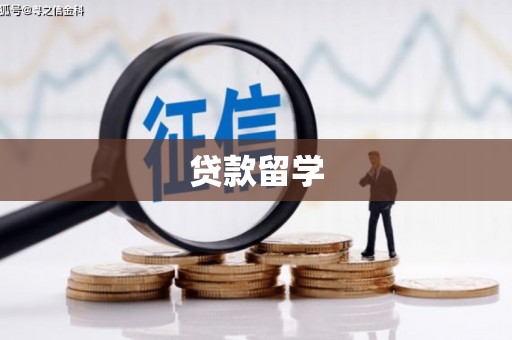 盘龙贷款留学