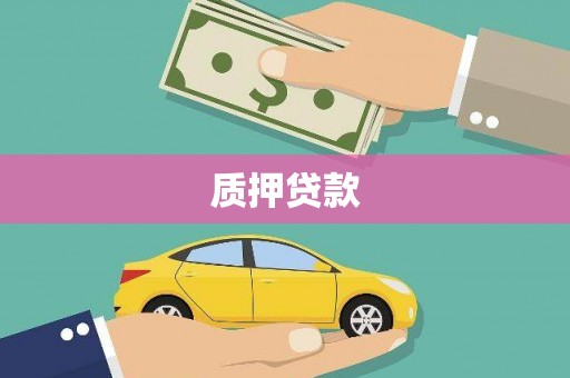盘龙质押贷款