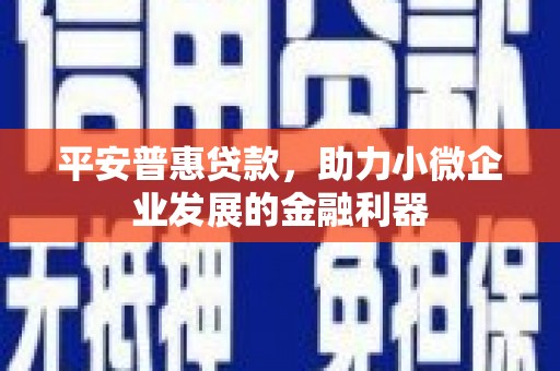 盘龙平安普惠贷款，助力小微企业发展的金融利器