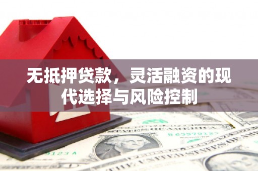 盘龙无抵押贷款，灵活融资的现代选择与风险控制
