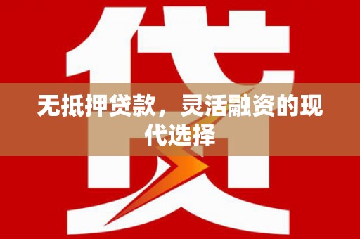 盘龙无抵押贷款，灵活融资的现代选择