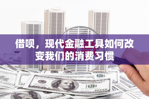 盘龙借呗，现代金融工具如何改变我们的消费习惯