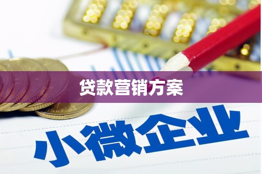 盘龙贷款营销方案