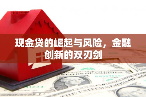 盘龙现金贷的崛起与风险，金融创新的双刃剑