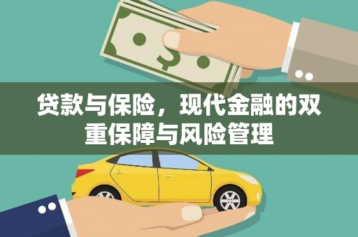 盘龙贷款与保险，现代金融的双重保障与风险管理
