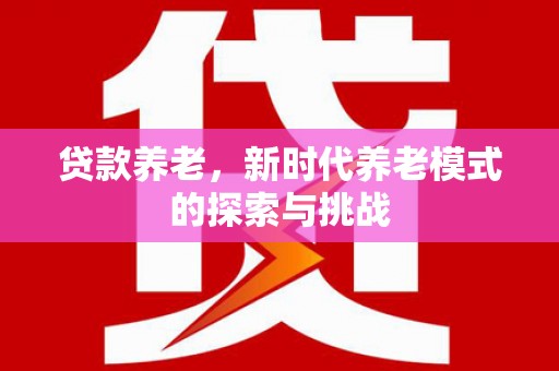 盘龙贷款养老，新时代养老模式的探索与挑战