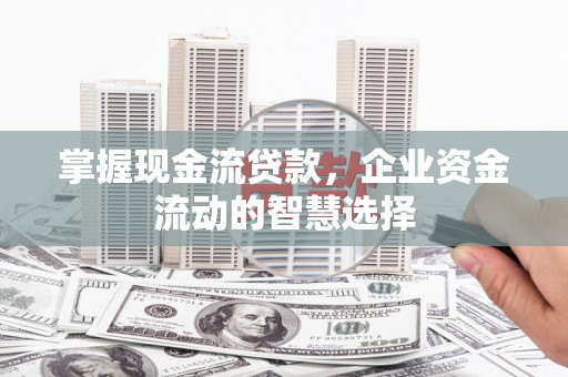 盘龙掌握现金流贷款，企业资金流动的智慧选择