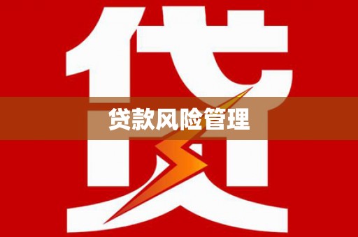 盘龙贷款风险管理