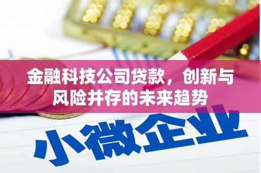 盘龙金融科技公司贷款，创新与风险并存的未来趋势
