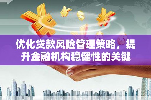 盘龙优化贷款风险管理策略，提升金融机构稳健性的关键