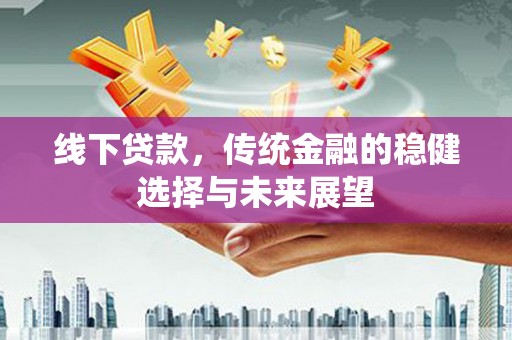 盘龙线下贷款，传统金融的稳健选择与未来展望