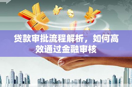 盘龙贷款审批流程解析，如何高效通过金融审核