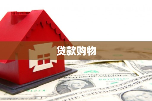 盘龙贷款购物