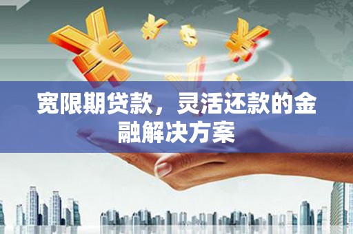 盘龙宽限期贷款，灵活还款的金融解决方案