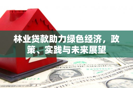 盘龙林业贷款助力绿色经济，政策、实践与未来展望