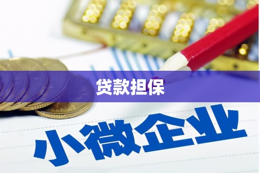 盘龙贷款担保