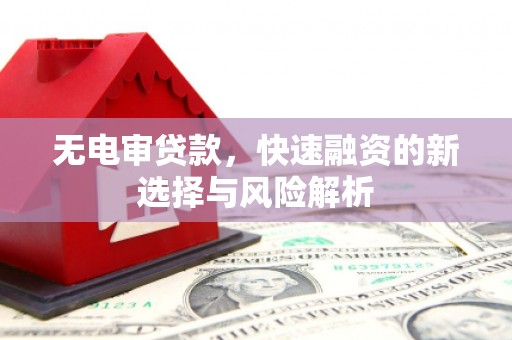 盘龙无电审贷款，快速融资的新选择与风险解析