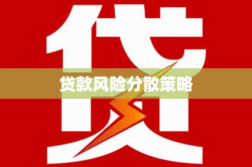 盘龙贷款风险分散策略