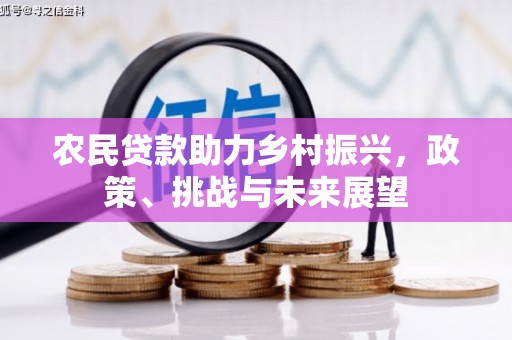 盘龙农民贷款助力乡村振兴，政策、挑战与未来展望