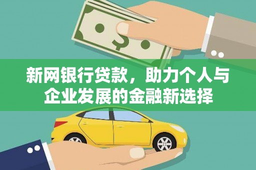 盘龙新网银行贷款，助力个人与企业发展的金融新选择