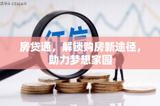 盘龙房贷通，解锁购房新途径，助力梦想家园