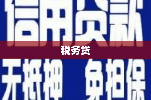 盘龙税务贷
