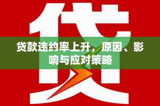 盘龙贷款违约率上升，原因、影响与应对策略