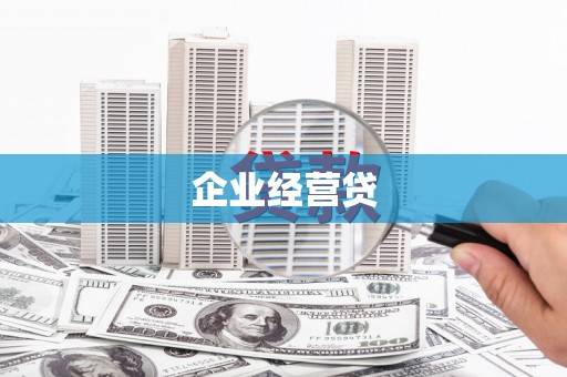 盘龙企业经营贷