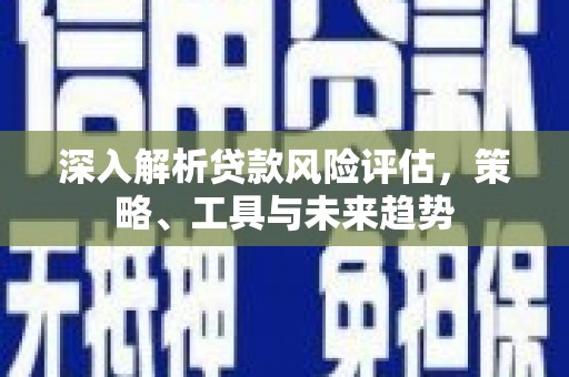 盘龙深入解析贷款风险评估，策略、工具与未来趋势