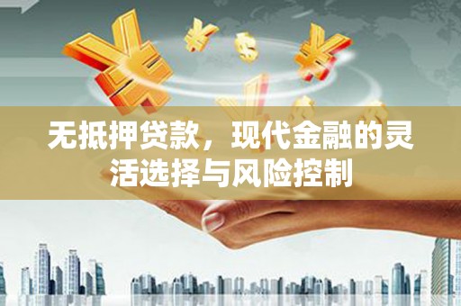盘龙无抵押贷款，现代金融的灵活选择与风险控制