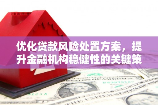盘龙优化贷款风险处置方案，提升金融机构稳健性的关键策略