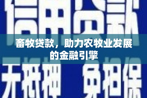 盘龙畜牧贷款，助力农牧业发展的金融引擎