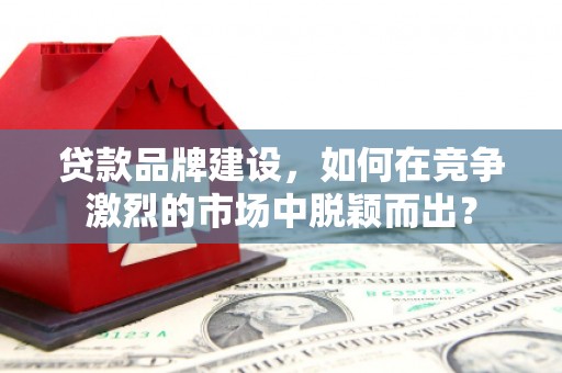 盘龙贷款品牌建设，如何在竞争激烈的市场中脱颖而出？