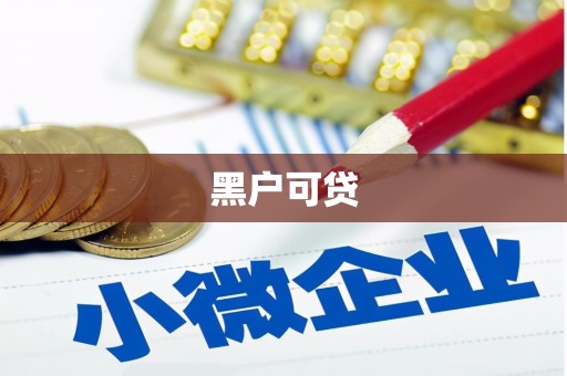 盘龙黑户可贷