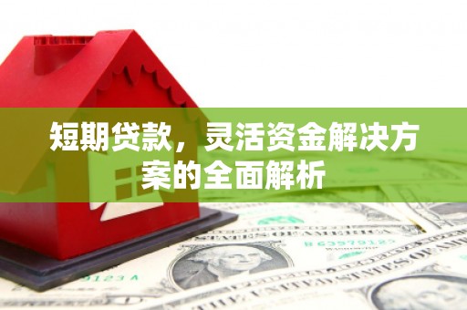 盘龙短期贷款，灵活资金解决方案的全面解析