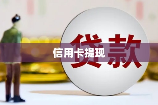 盘龙信用卡提现