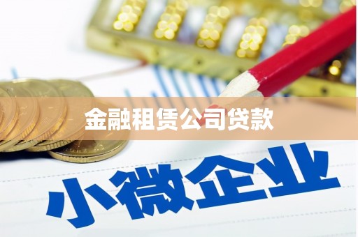 盘龙金融租赁公司贷款