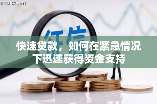 盘龙快速贷款，如何在紧急情况下迅速获得资金支持