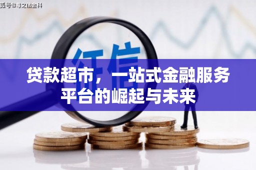 盘龙贷款超市，一站式金融服务平台的崛起与未来