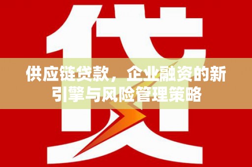 盘龙供应链贷款，企业融资的新引擎与风险管理策略